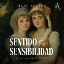 [Spanish] - Sentido y sensibilidad - Audiolibro Audiobook