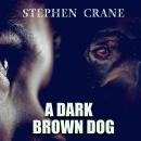 A Dark Brown Dog Audiobook