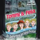[German] - Tommi und Felix Zwillinge ermitteln: Der Geisterschrei des kalten Prinzen Audiobook