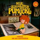 [German] - 14: Pumuckl und der Geisterjäger (Neue Geschichten vom Pumuckl) Audiobook