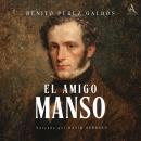 [Spanish] - El amigo manso - Audiolibro Audiobook
