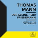 [German] - Der kleine Herr Friedemann Audiobook