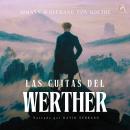 [Spanish] - Las cuitas de Werther - Audiolibro Audiobook