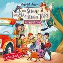 [German] - 04: Abgefahren! Audiobook