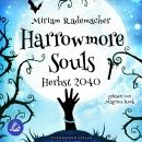 [German] - Harrowmore Souls (Band 4): Herbst 2040 Audiobook
