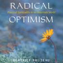 Radical Optimism: Practical Spirituality in an Uncertain World Audiobook