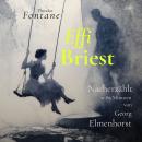 [German] - Effi Briest: Nacherzählt in 80 Minuten Audiobook