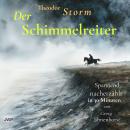 [German] - Der Schimmelreiter: Spannend nacherzählt in 30 Minuten Audiobook