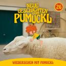 [German] - 26: Wiedersehen mit Pumuckl (Neue Geschichten vom Pumuckl) Audiobook