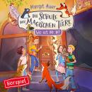 [German] - 07: Wo ist Mr. M? Audiobook