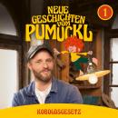 [German] - 01: Koboldsgesetz (Neue Geschichten vom Pumuckl) Audiobook