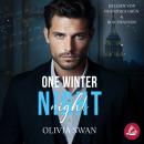 [German] - One Winter Night: A Fake Boyfriend Millionaire Romance (Hot Seasons) Audiobook