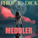 Meddler Audiobook