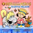 [German] - 45: Richtig falsch! Audiobook