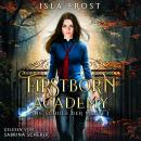 [German] - Firstborn Academy - Die Schule für Magie - Fantasy Hörbuch Audiobook