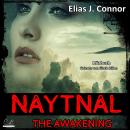 [German] - Naytnal: The awakening Audiobook