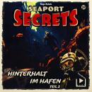 [German] - Seaport Secrets 22 - Hinterhalt im Hafen Teil 2 Audiobook