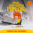 [German] - 12: Pumuckl will Skifahren (Neue Geschichten vom Pumuckl) Audiobook