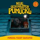 [German] - 13: Pumuckl feiert Silvester (Neue Geschichten vom Pumuckl) Audiobook