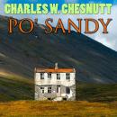 Po' Sandy Audiobook