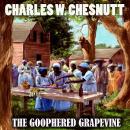 The Goophered Grapevine Audiobook