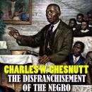 The Disfranchisement of the Negro Audiobook