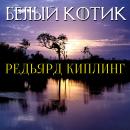 [Russian] - Белый котик Audiobook