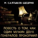 [Russian] - Повесть о том, как один мужик двух генералов прокормил Audiobook