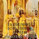 [Russian] - Размышления о Божественной Литургии Audiobook