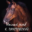 [Russian] - Тёплый хлеб Audiobook