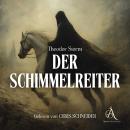 [German] - Der Schimmelreiter - Hörbuch Audiobook