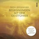 [German] - Begegnungen mit dem Geistführer Audiobook