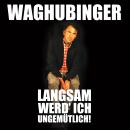 [German] - Stefan Waghubinger, Langsam werd' ich ungemütlich! Audiobook