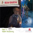 Die Alster-Detektive, Folge 5: Schöne Bescherung Audiobook
