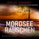[German] - Mordseerauschen - Maria Fortmann ermittelt, Band 4 (ungekürzt) Audiobook