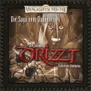 [German] - DRIZZT, Folge 14: Gefährliche Begegnung Audiobook