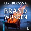[German] - Brandwunden - Büttner und Hasenkrug ermitteln, Band 10 (ungekürzt) Audiobook