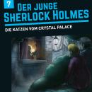 Der junge Sherlock Holmes, Folge 7: Die Katzen vom Crystal Palace Audiobook