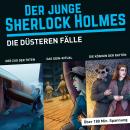 [German] - Der junge Sherlock Holmes, Die düsteren Fälle (Themen-Box), Folgen 2, 5, 14 (ungekürzt) Audiobook