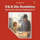 N&K Die Detektive, Folge 1: Wer hat den schwarzen Hund geseh'n? Audiobook