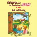 Arborex und der Geheimbund KIM, Folge 8: Spuk im Rittersaal Audiobook