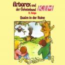 Arborex und der Geheimbund KIM, Folge 9: Qualm in der Ruine Audiobook