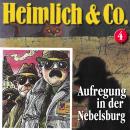 Heimlich & Co., Folge 4: Aufregung in der Nebelsburg Audiobook
