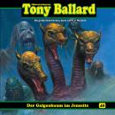 [German] - Tony Ballard, Folge 40: Der Galgenbaum im Jenseits