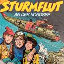 [German] - Sturmflut an der Nordsee Audiobook