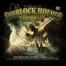 Sherlock Holmes Chronicles, Folge 71: Die Spur des Falken Audiobook
