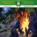 [German] - Pollution Police, Folge 23: Hexentanz zur Mitternacht Audiobook