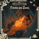 [German] - Das schwarze Auge, Folge 20: Früchte des Zorns Audiobook