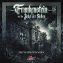 [German] - Frankenstein und der Zirkel der Sieben, Folge 15: Strom der Gedanken Audiobook