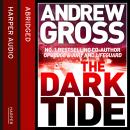 Dark Tide, Andrew Gross